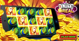 trr66